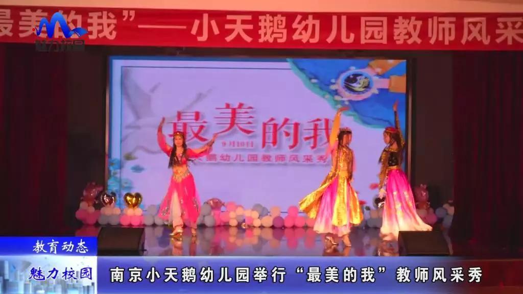 小天鹅最新动态，观点阐述与分析概述